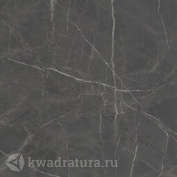 Керамогранит Kerama Marazzi Буонарроти серый тёмный SG642900R 60*60 см