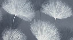 Обои флизелиновые Аспект 1.06 м 70688-65