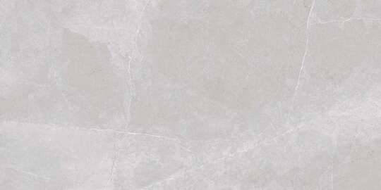 Керамогранит Global Tile Nioba Серый GT1206013001LR 60*120 см