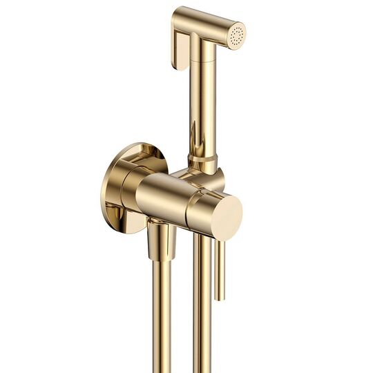 Гигиенический комплект AQUAME Siena AQM6217BG золото брашированный