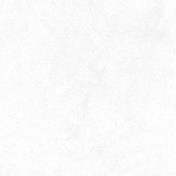 Напольная плитка AXIMA Мегаполис светло-серая 40*40 см