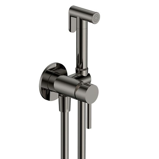 Гигиенический комплект AQUAME Siena AQM6217GM металл