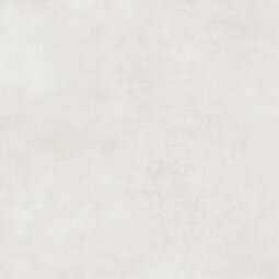 Керамогранит Alma Ceramica Мурал / Mural светло-серый 60*60 см GFU6060MUR07R