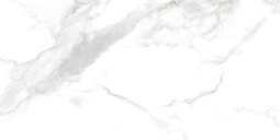Керамогранит Globa Tile Сопрано Белый GT5010026803MR 50*100 см