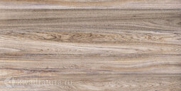 Настенная плитка Alma Ceramica Lea (Wood) TWU09WOD404 24,9*50 см