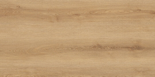 Керамогранит Globa Tile Вуди Бежевый GT5010026902MCR 50*100 см